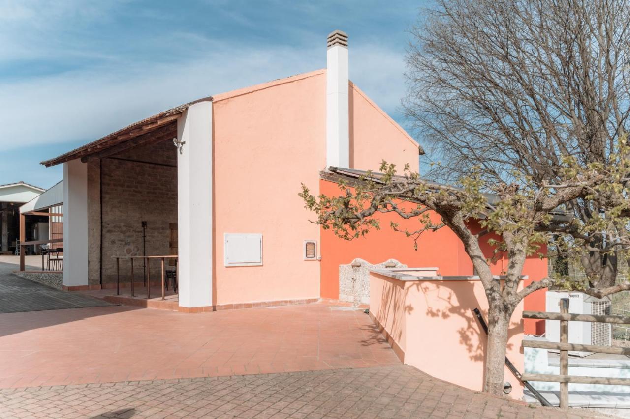 Agriturismo San Francesco Valeggio sul Mincio Exteriér fotografie