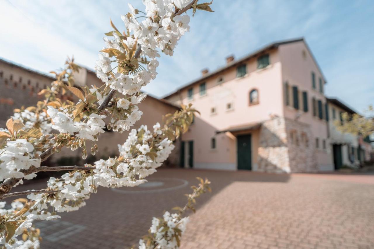 Agriturismo San Francesco Valeggio sul Mincio Exteriér fotografie