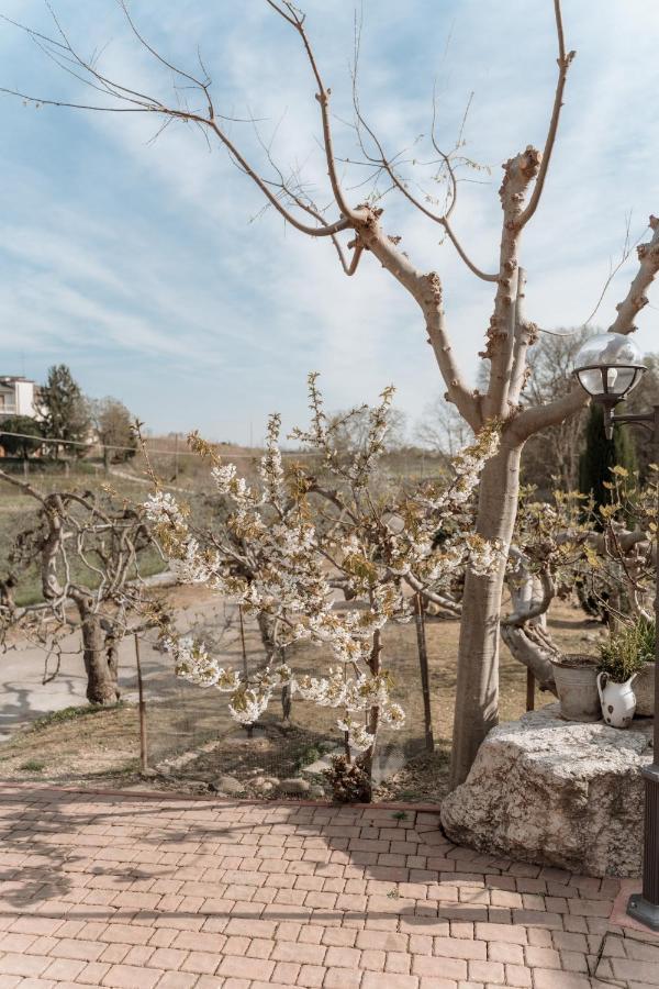 Agriturismo San Francesco Valeggio sul Mincio Exteriér fotografie