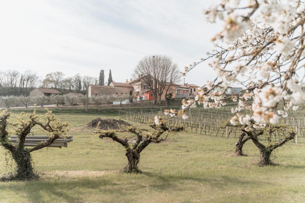 Agriturismo San Francesco Valeggio sul Mincio Exteriér fotografie