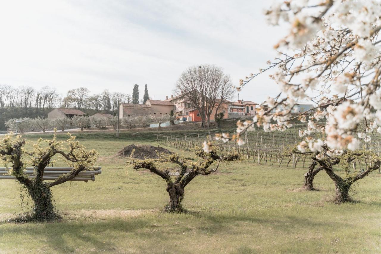 Agriturismo San Francesco Valeggio sul Mincio Exteriér fotografie