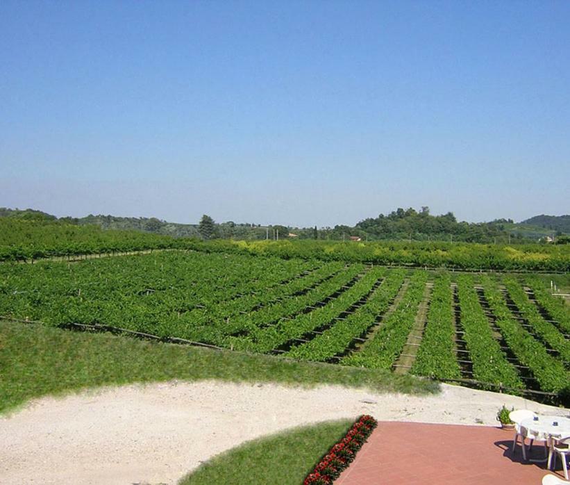 Agriturismo San Francesco Valeggio sul Mincio Exteriér fotografie