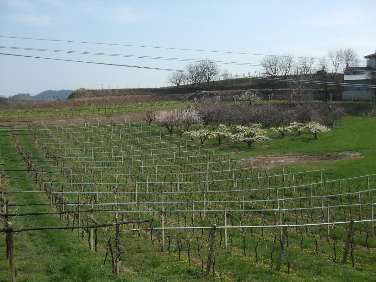 Agriturismo San Francesco Valeggio sul Mincio Exteriér fotografie